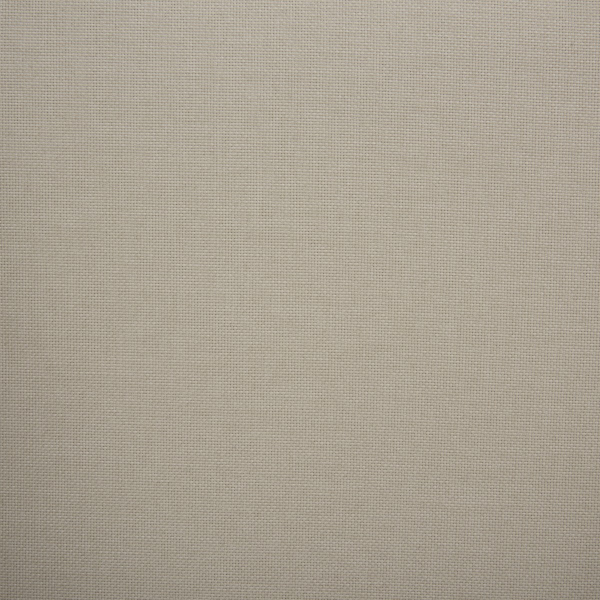TAN / IVORY