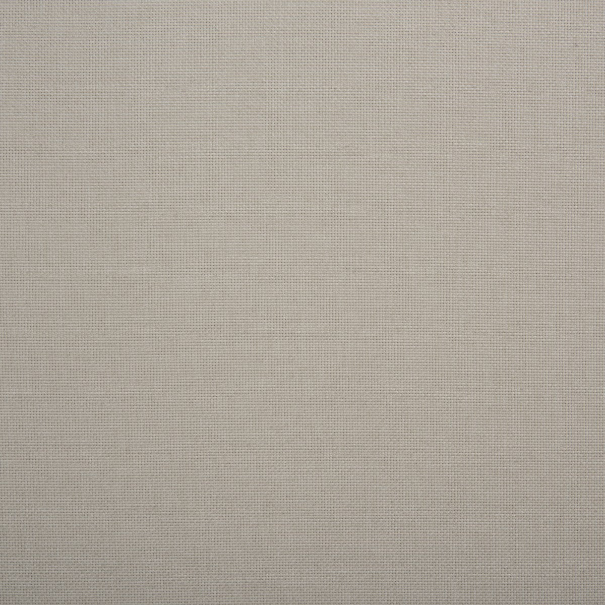 HEATHER TAN / IVORY