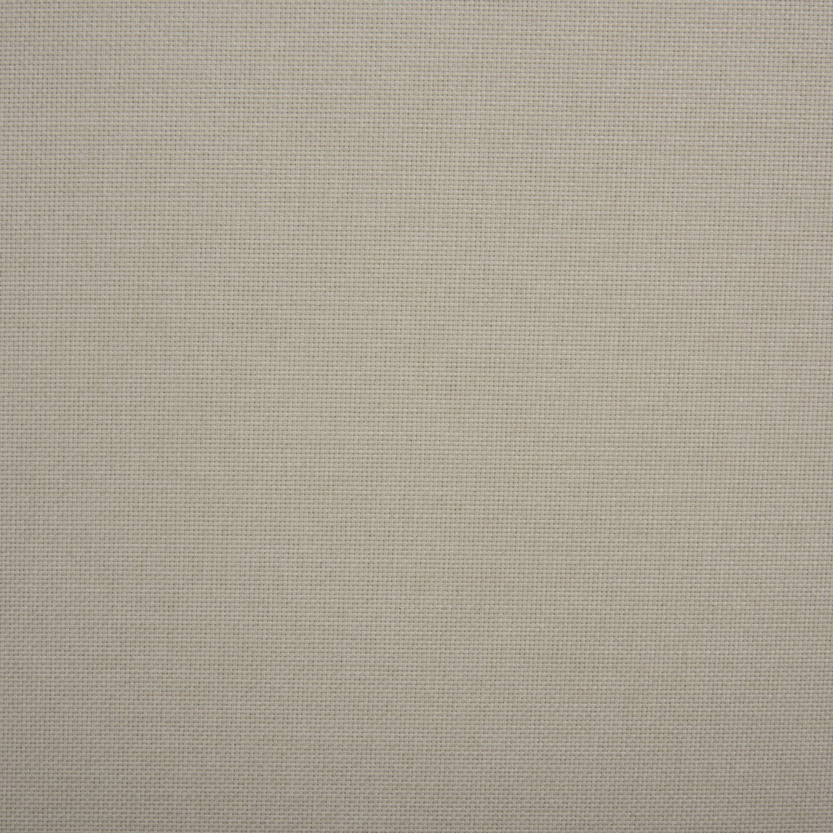 TAN / IVORY