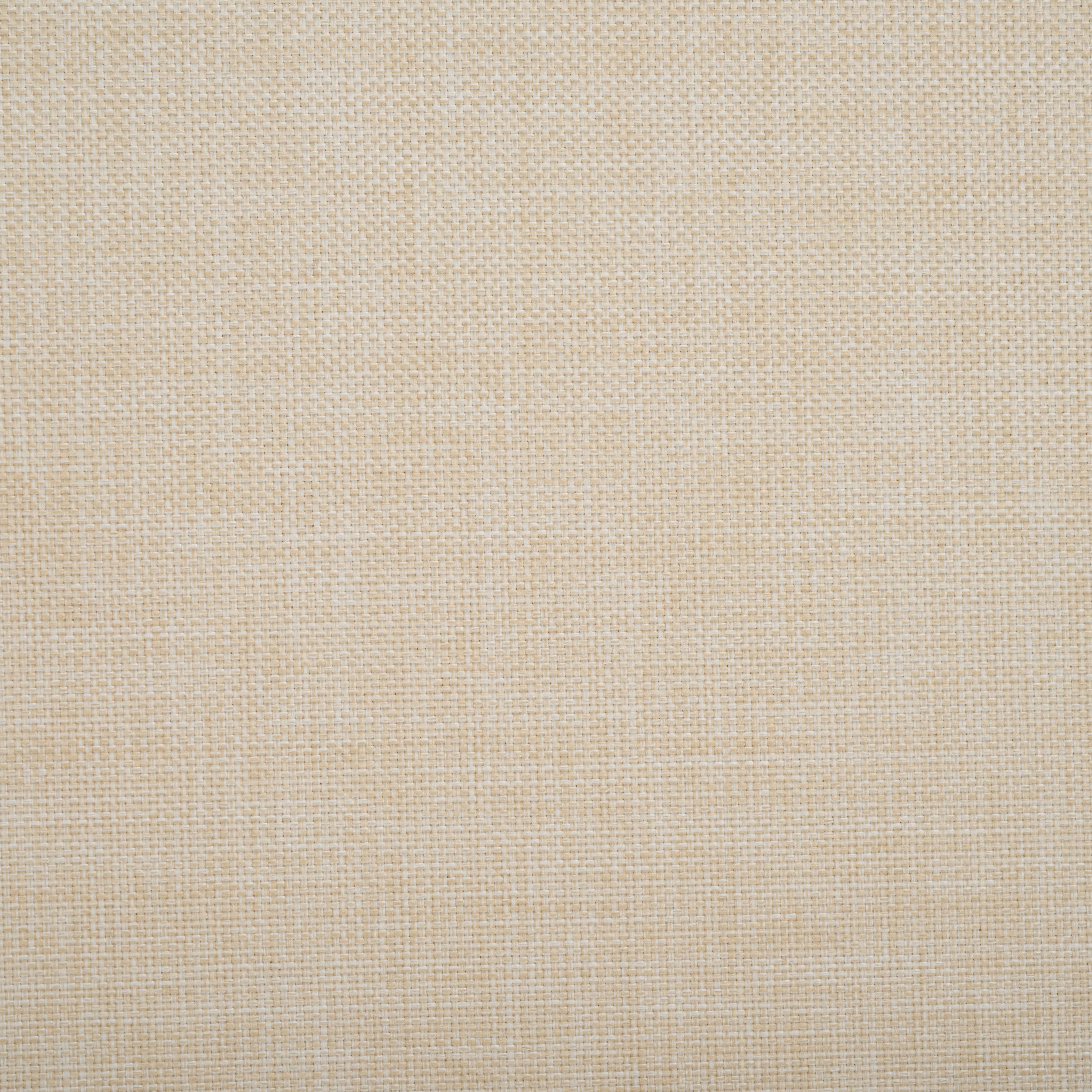 Black / Taupe