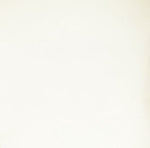 Natural / Beige - Natural / Beige