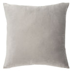 Grey / Silver