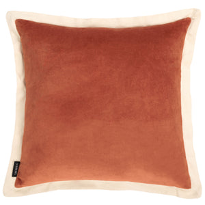 Safavieh Jordy Cotton Pillow, PLS898