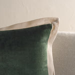Olive / Natural