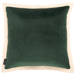 Olive / Natural