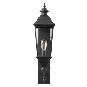 Safavieh Braden Outdoor Wall Sconce, PLT4084