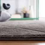 Safavieh Revive 104 Rug, REV104 - Charcoal