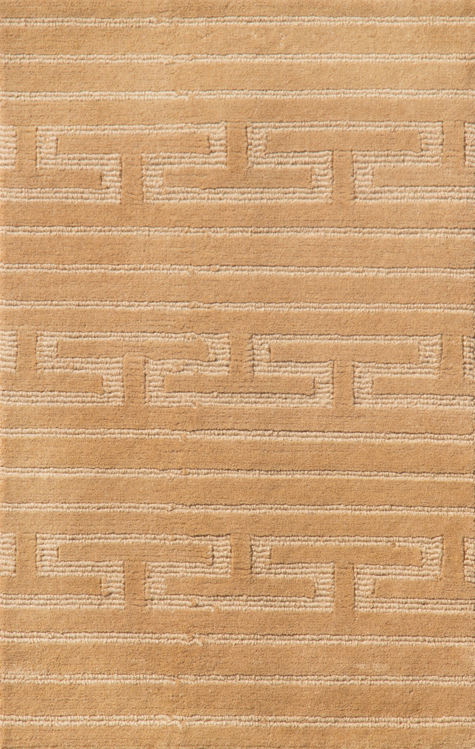 NEW CAMEL / TONAL