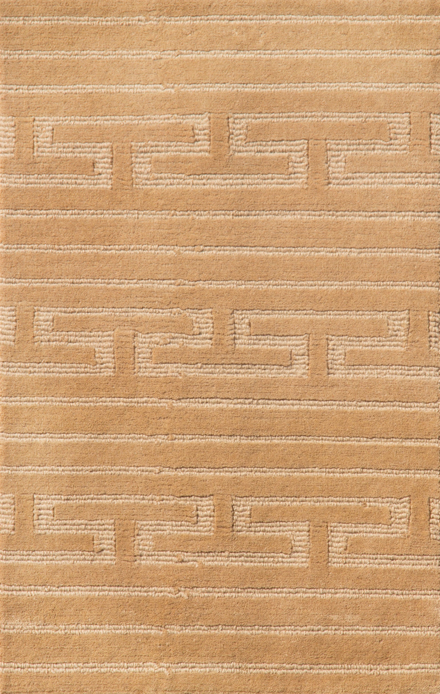 NEW CAMEL / TONAL