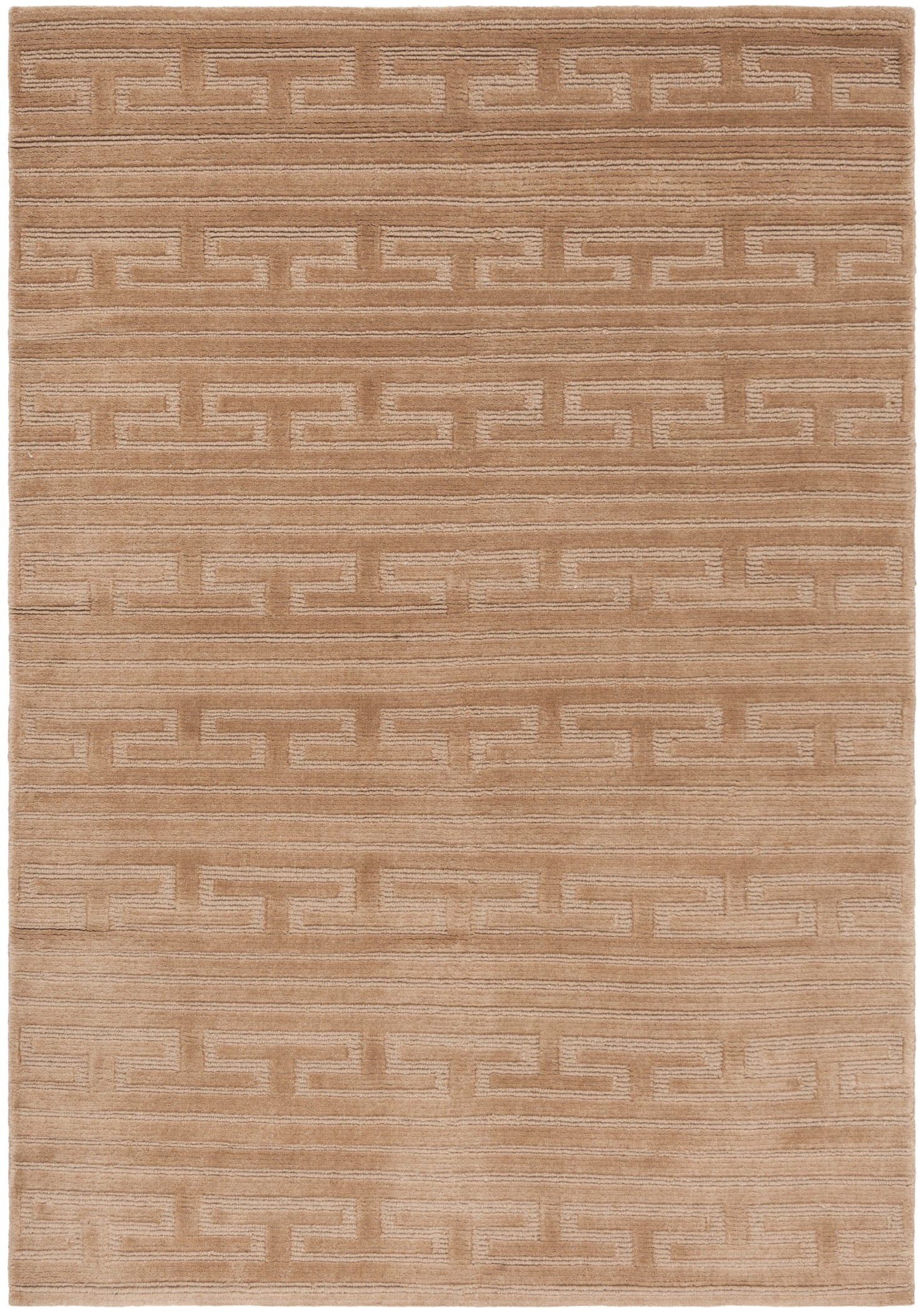 NEW CAMEL / TONAL