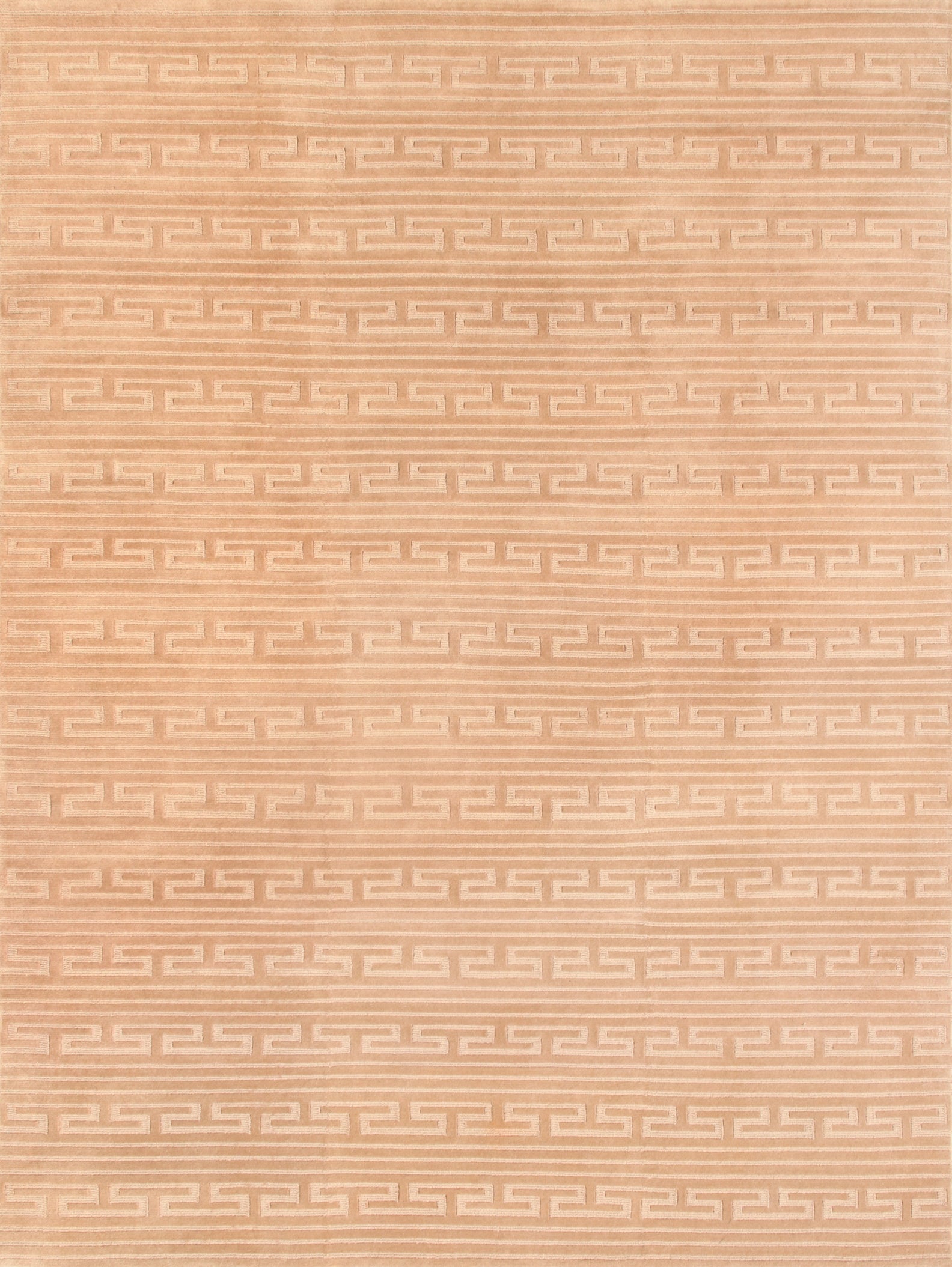 NEW CAMEL / TONAL