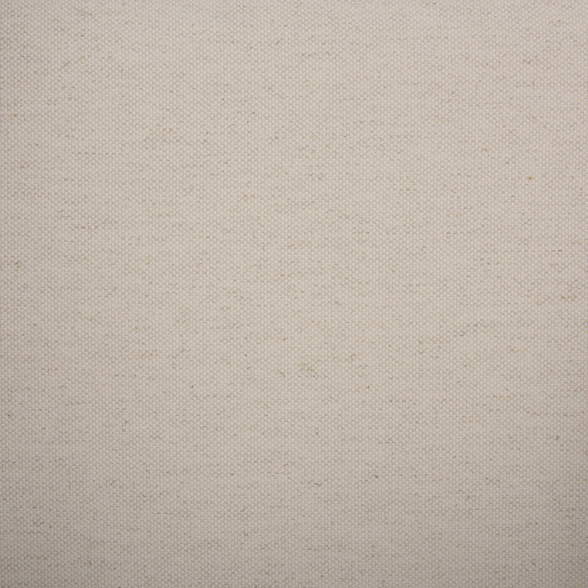 DARK BROWN / WHITE