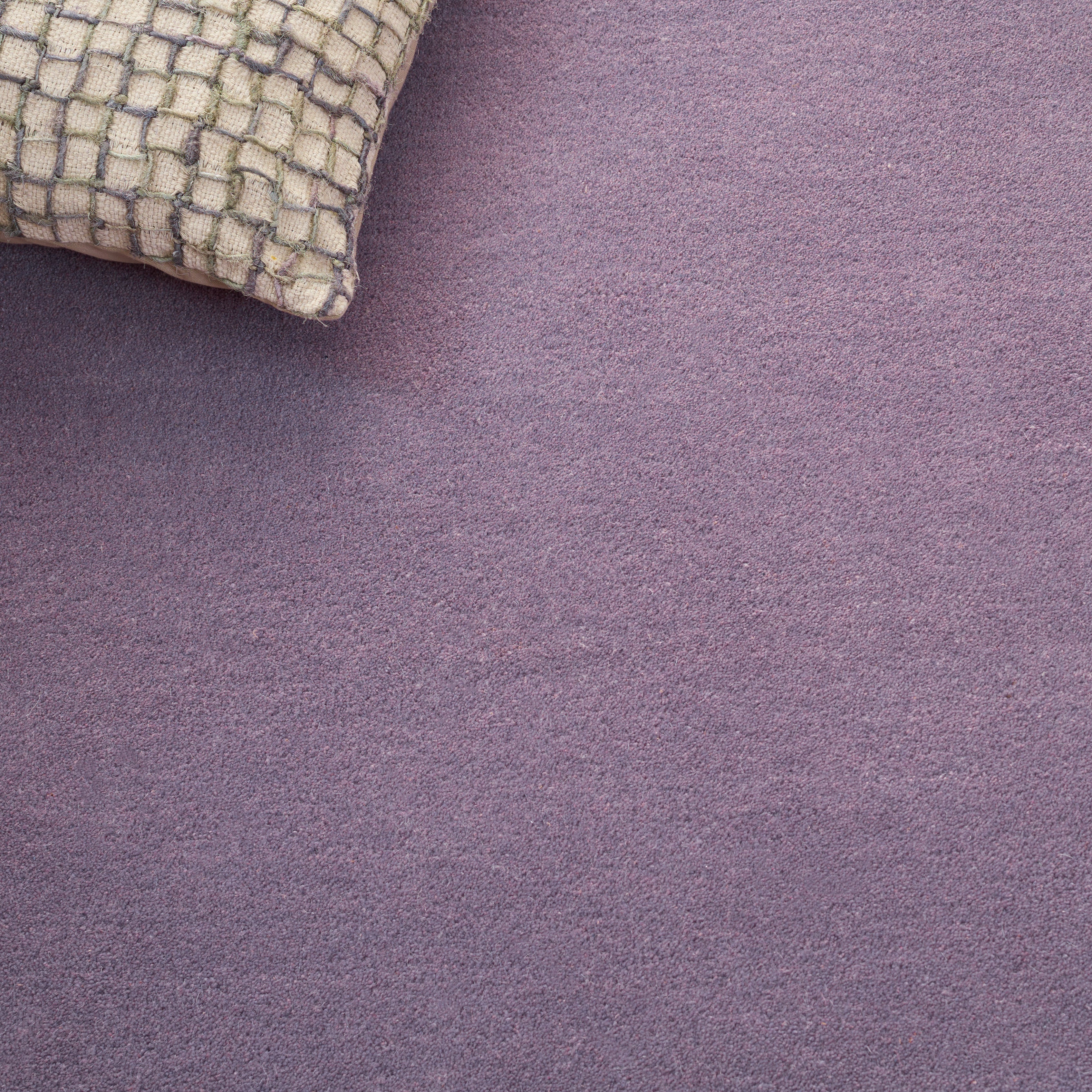 PURPLE / IVORY