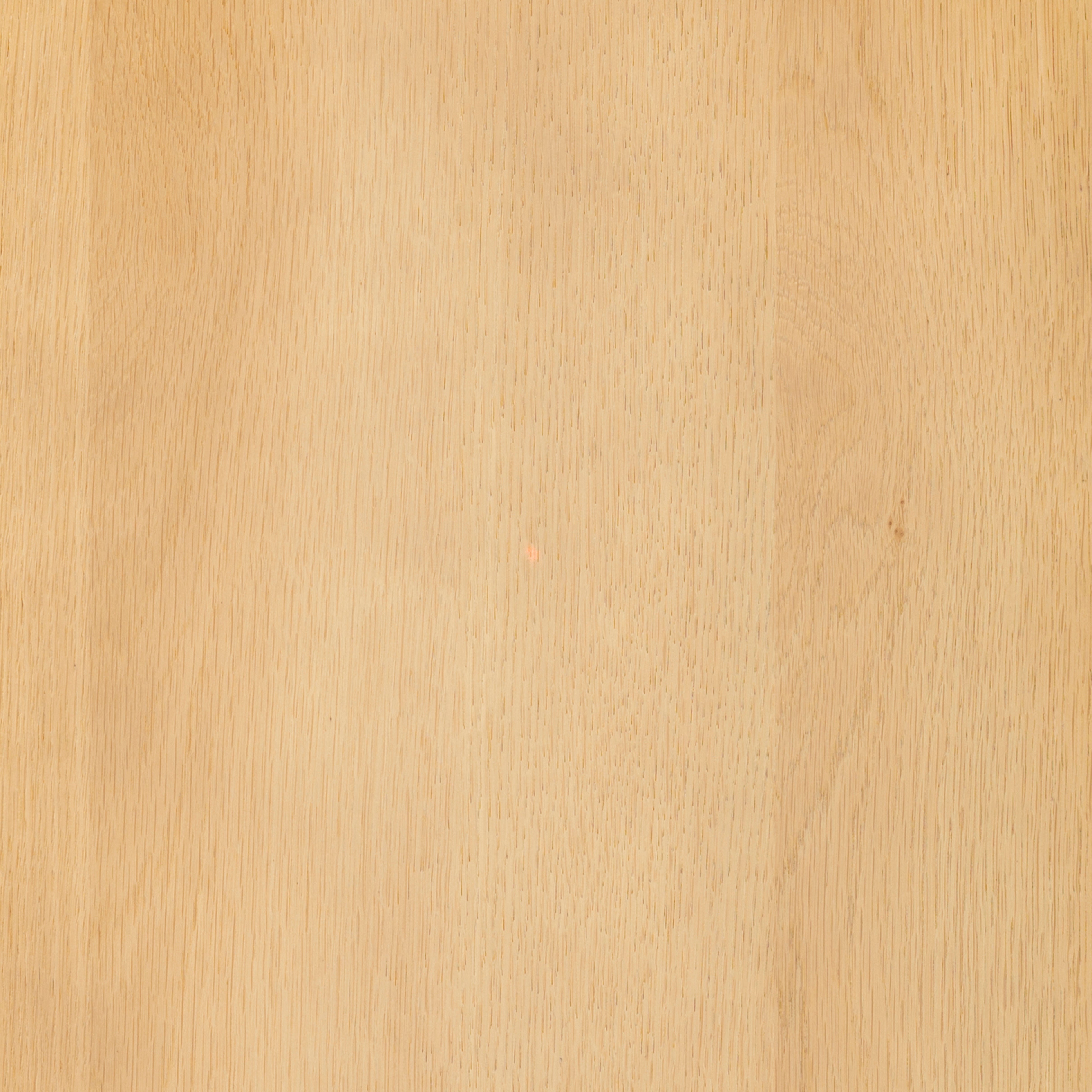 TRAVERTINE / OAK