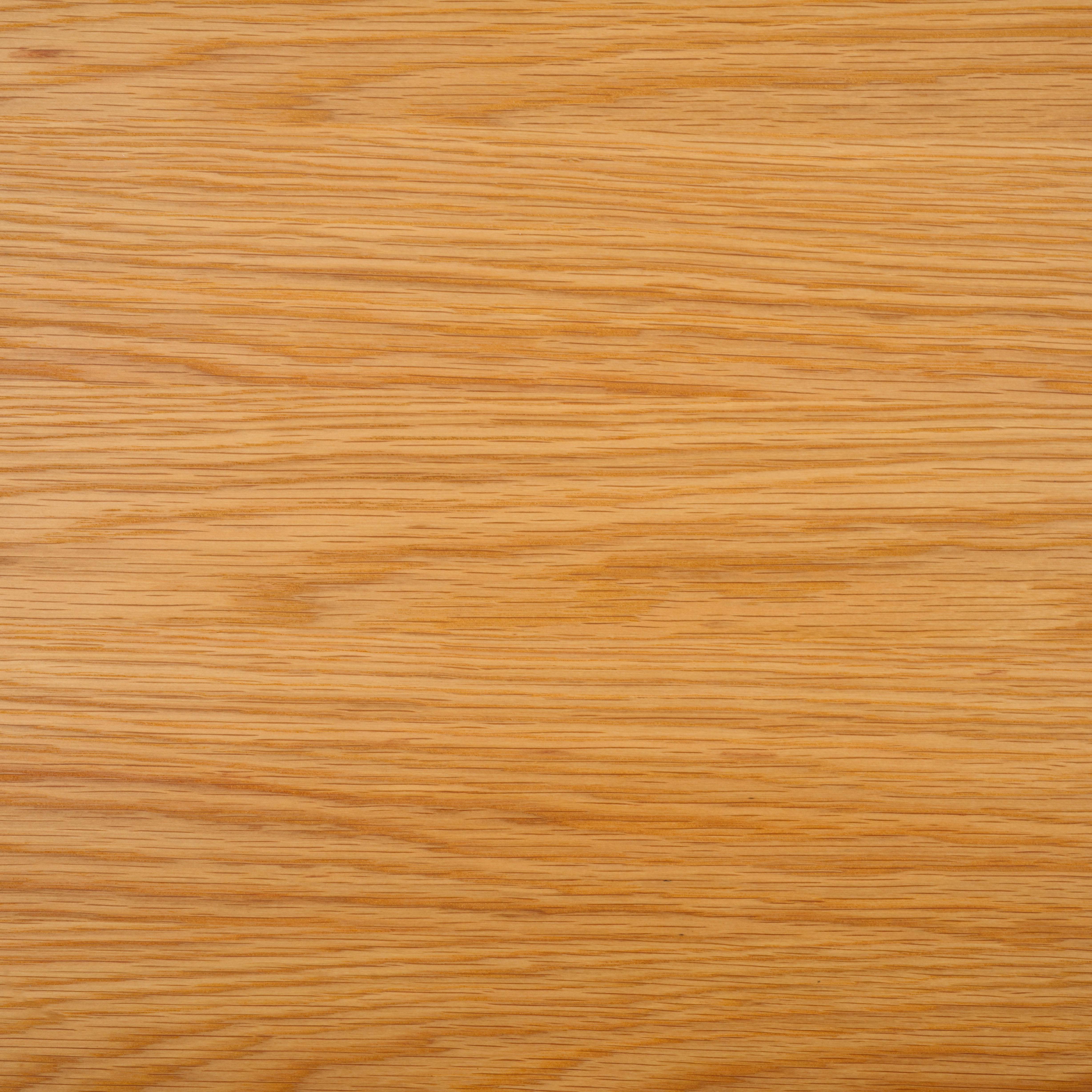 Safavieh Couture Calverton Wood Dining Table, SFV4201 - Natural