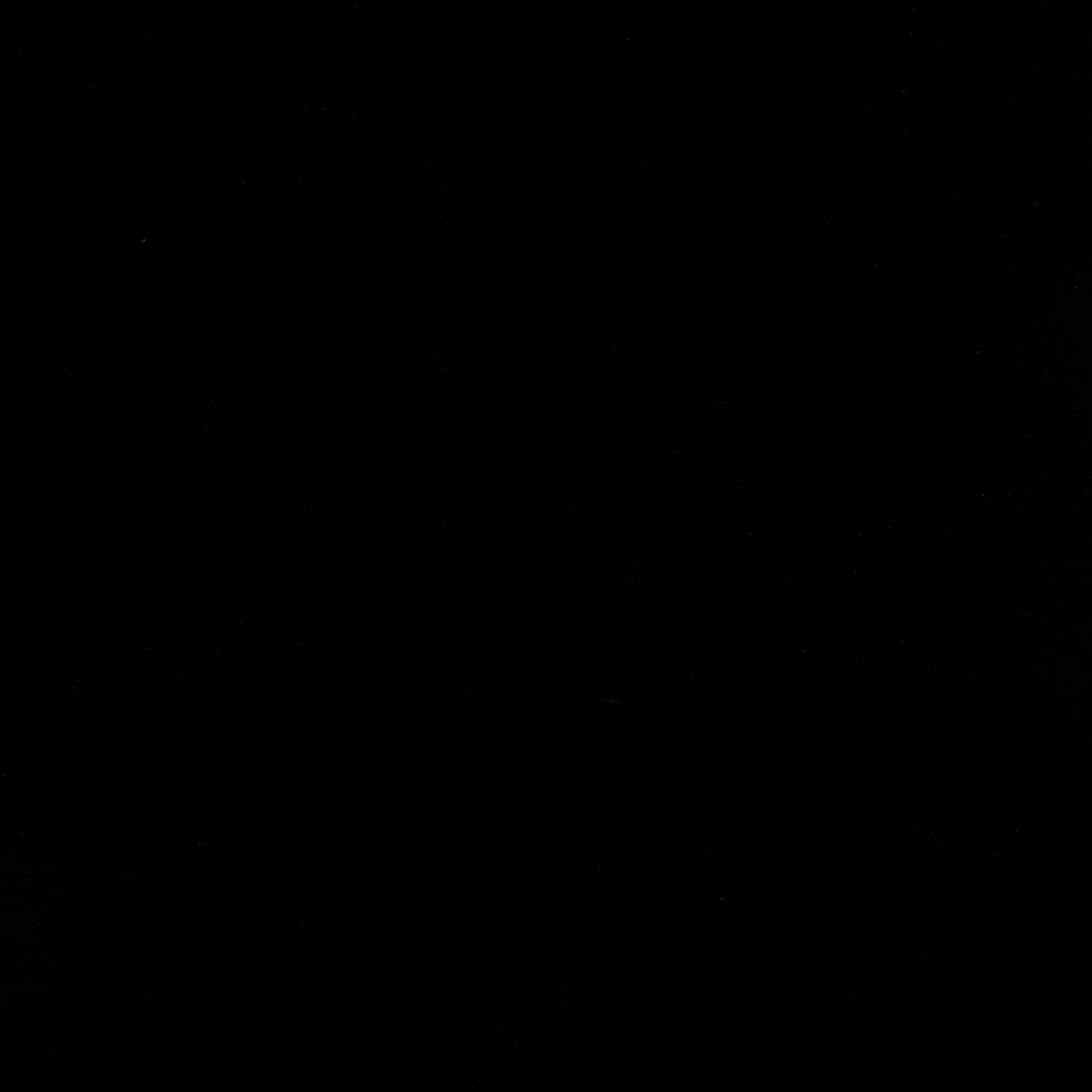 BLACK / BLACK