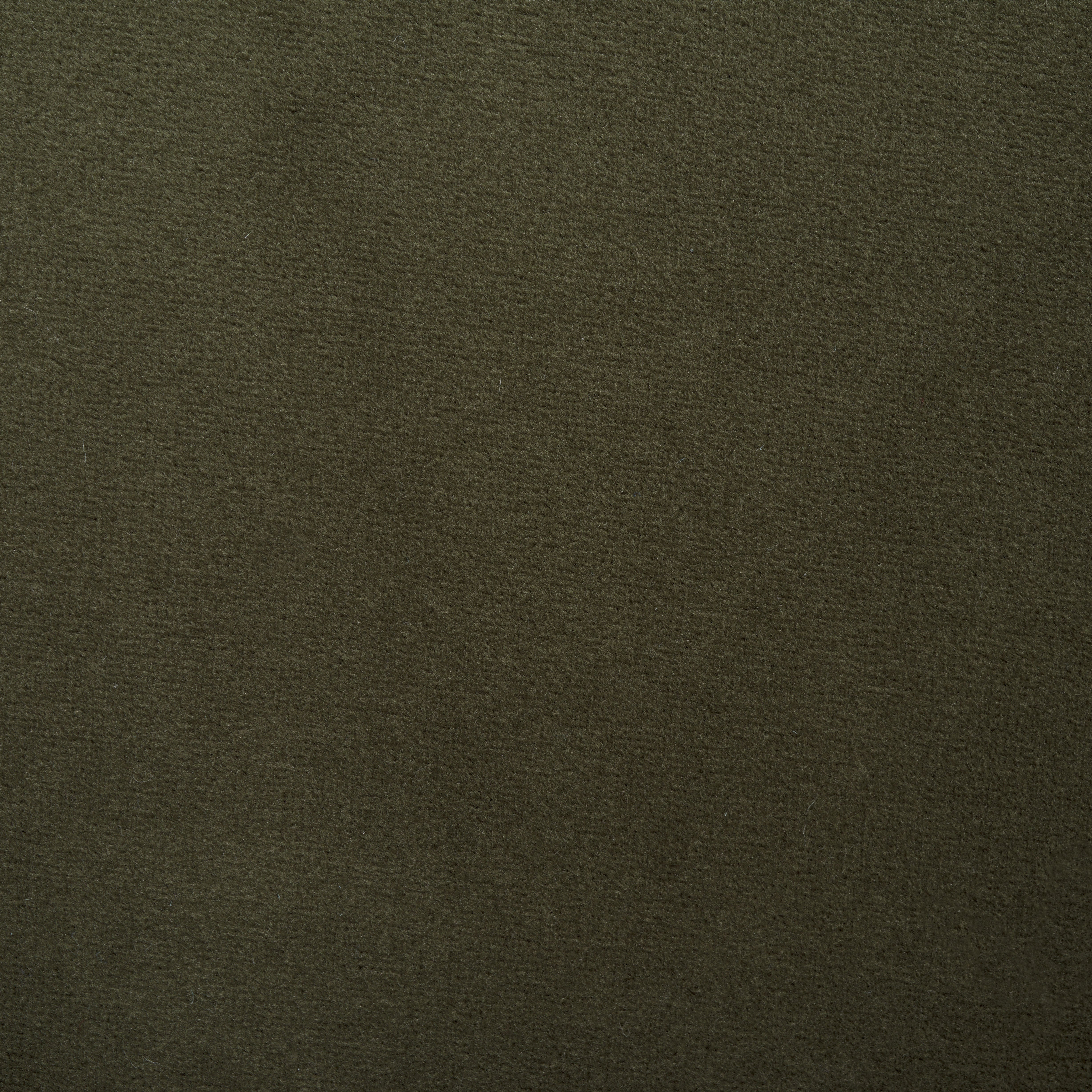 OLIVE GREEN VELVET