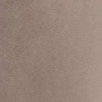 PALE TAUPE / GOLD