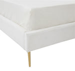 WHITE / GOLD