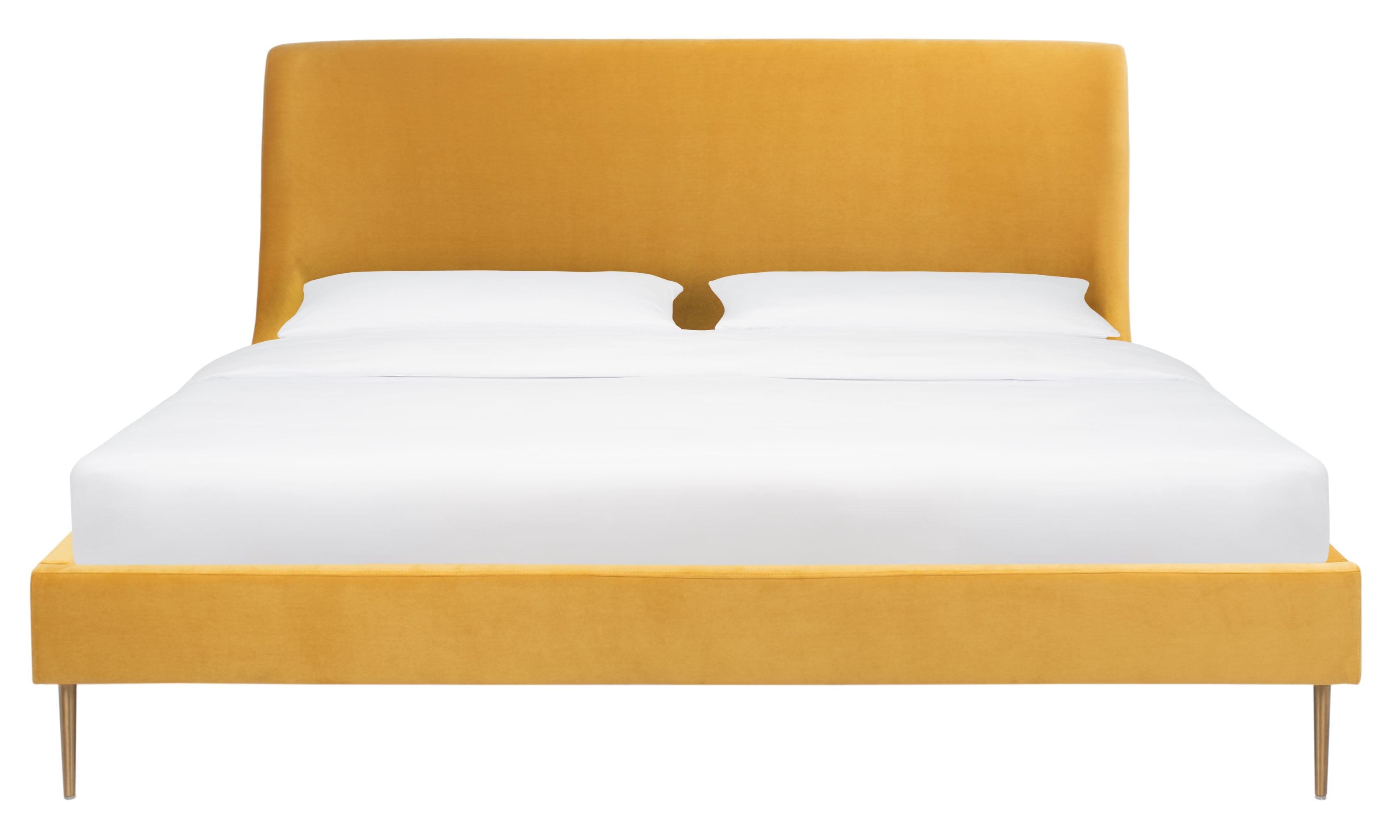 CHARTREUSE / GOLD
