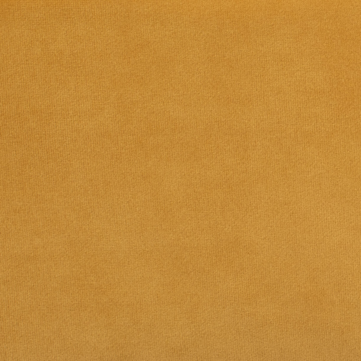 CHARTREUSE / GOLD