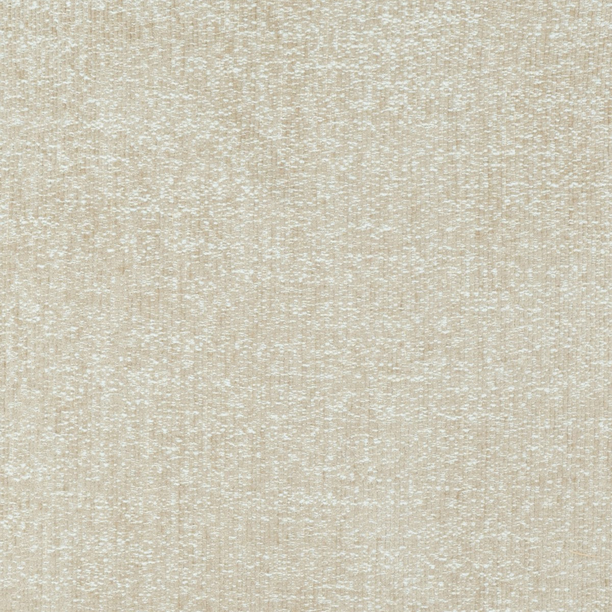 TAUPE / BLACK
