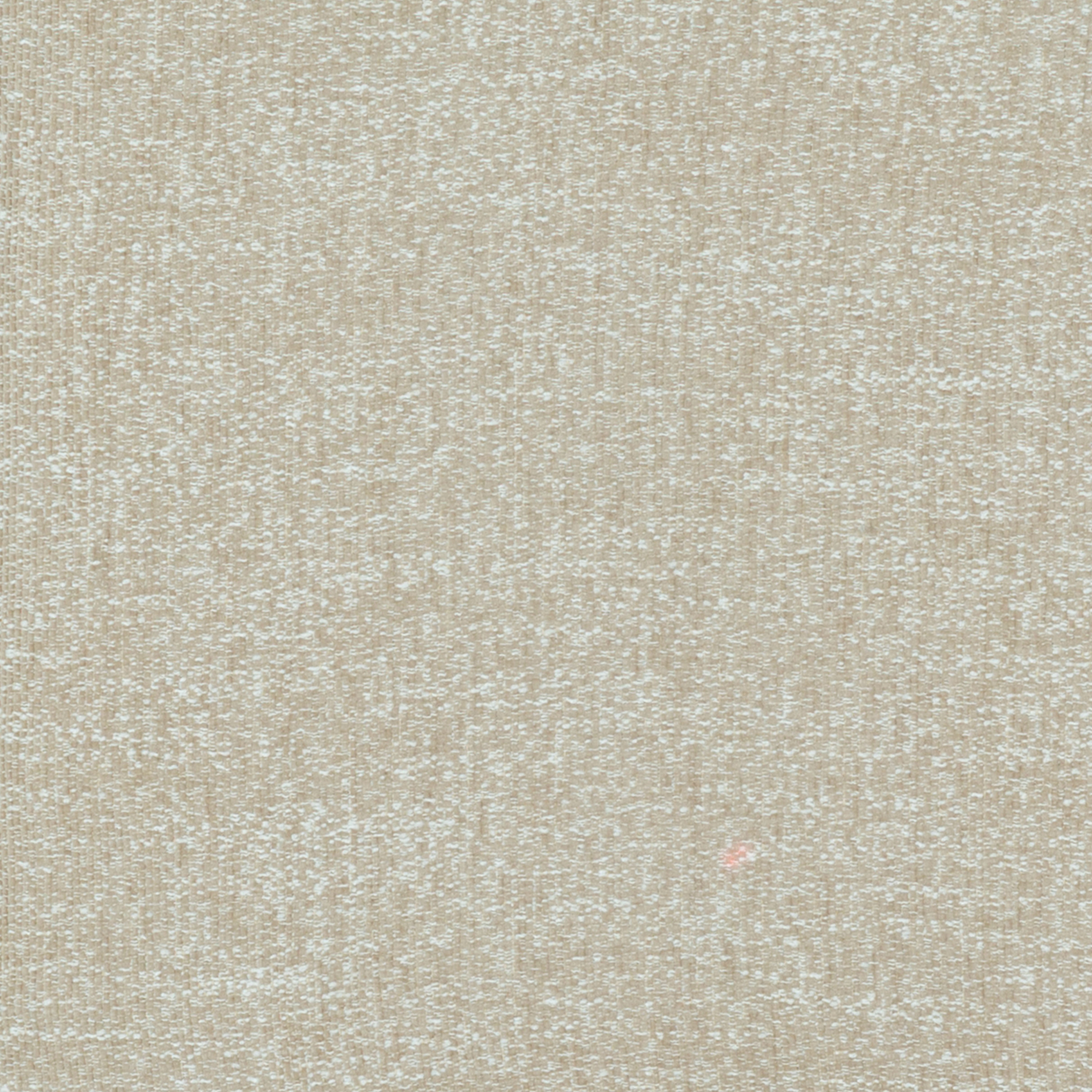 TAUPE-1