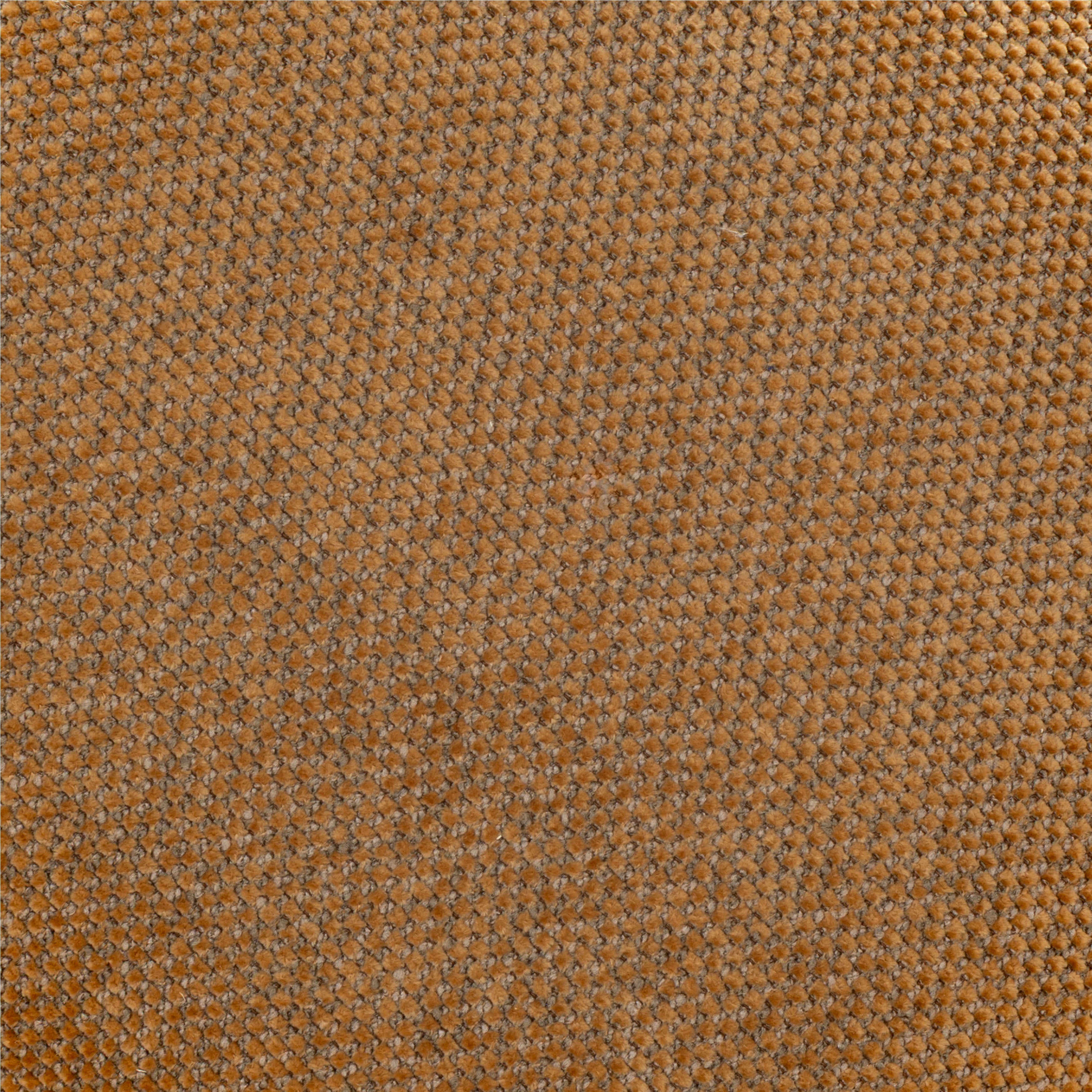 MUSTARD / WALNUT
