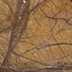 BROWN / BEIGE