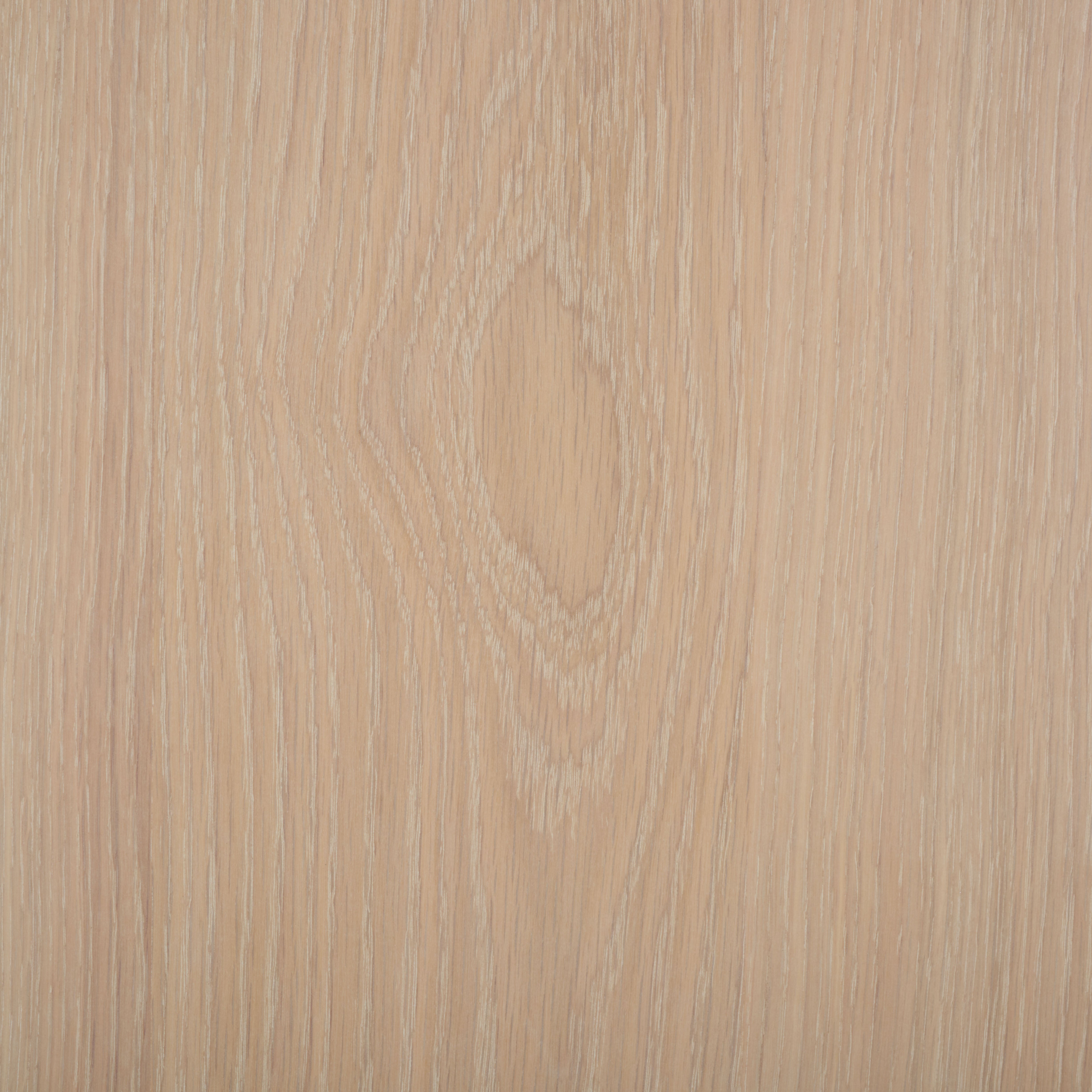 WHITE WASHED / WHITE