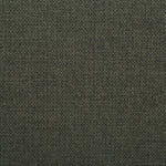 OLIVE GREEN / WALNUT