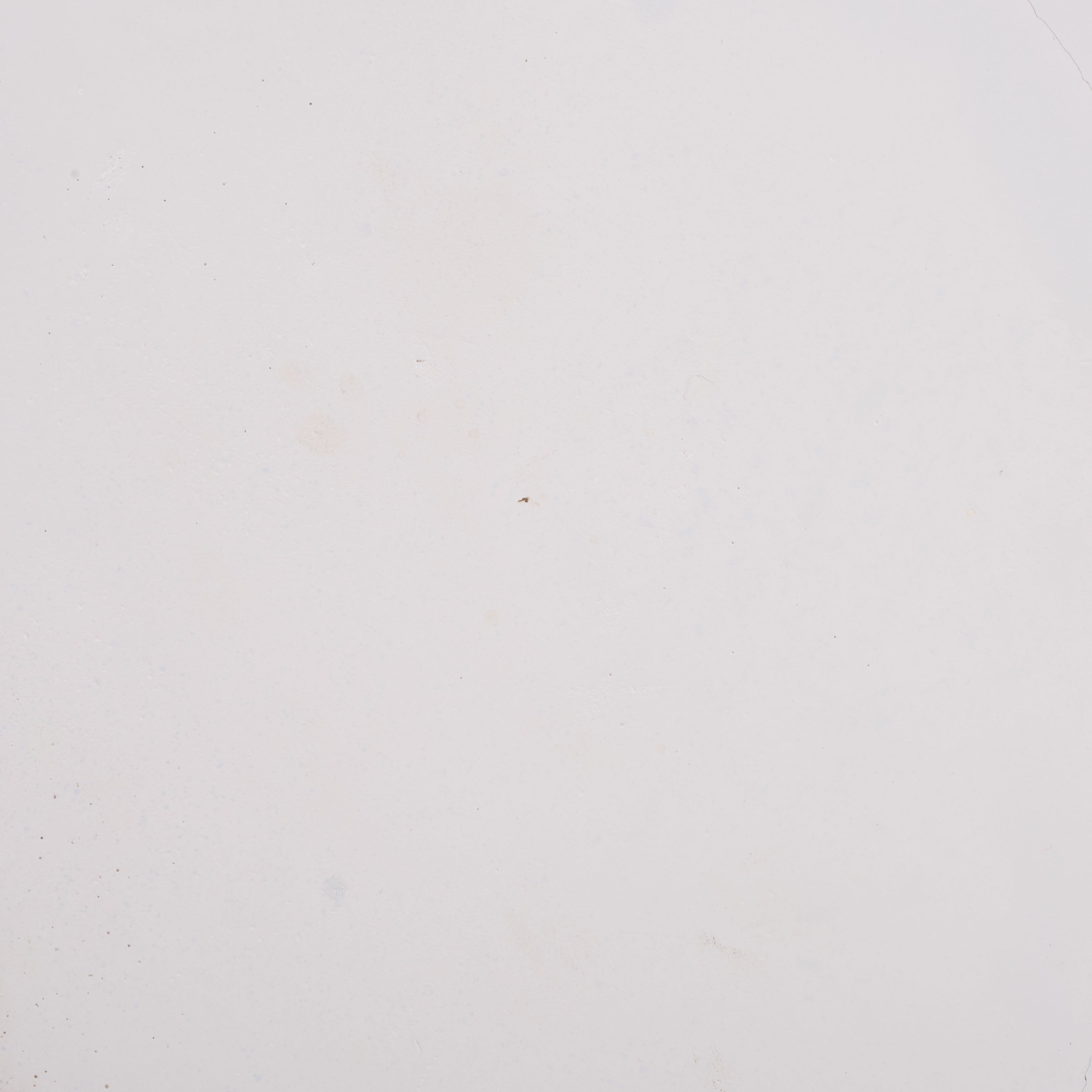 BROWN / WHITE