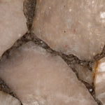 Gold / White - Gold / White