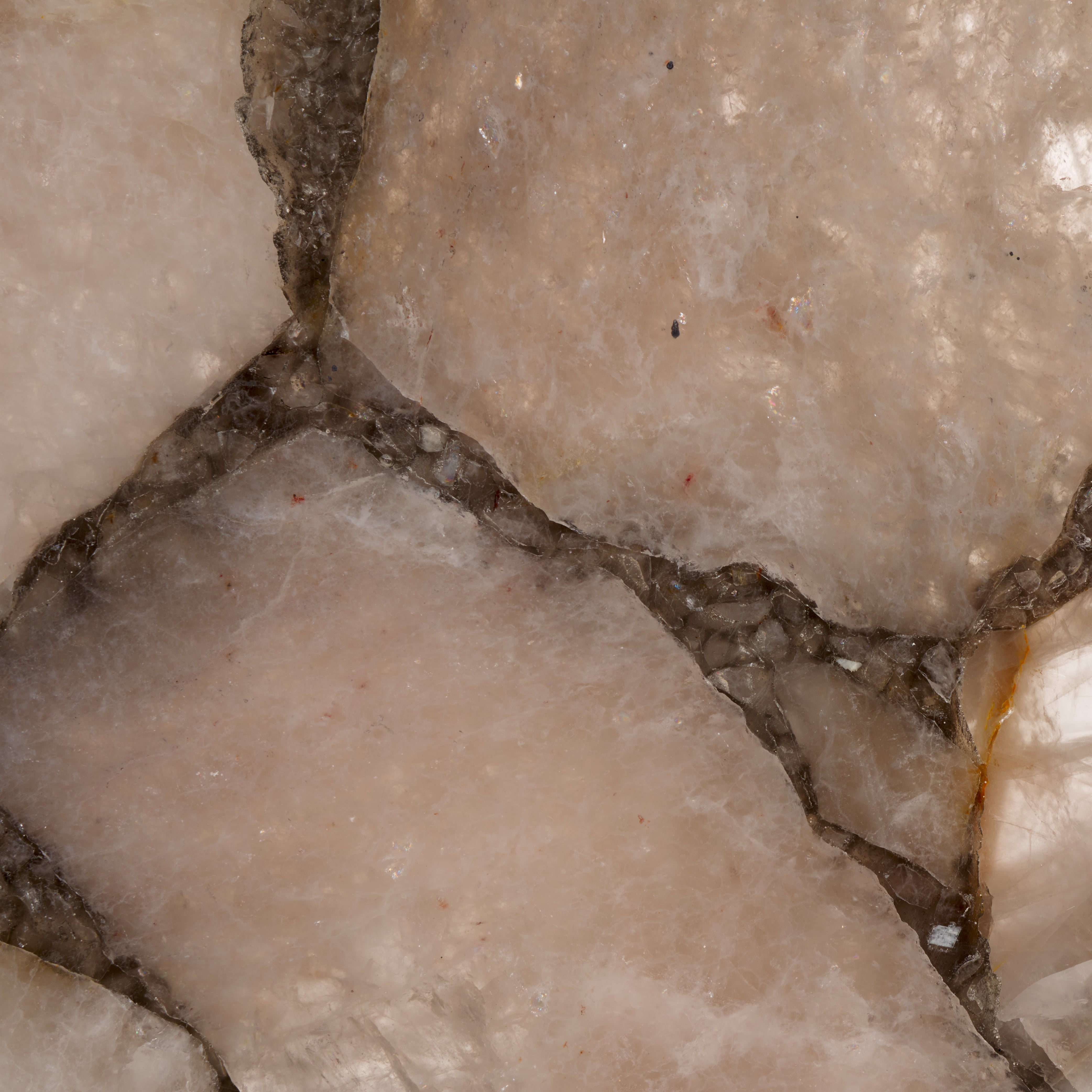 Gold / White - Gold / White