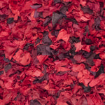 RED / MULTI