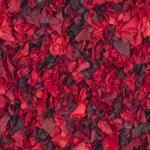 RED / MULTI