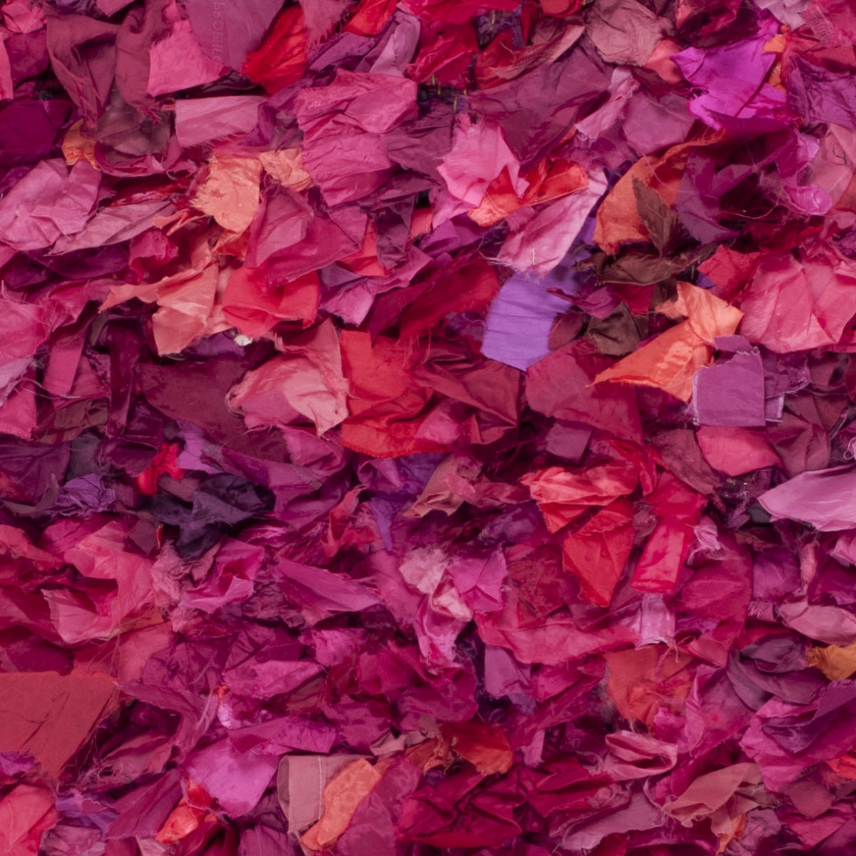 FUCHSIA / MULTI