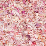 IVORY / PINK