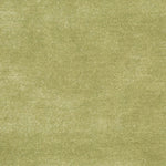 GREEN / LIGHT GREEN