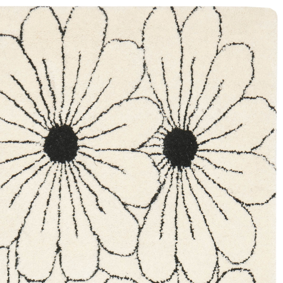 IVORY / BLACK