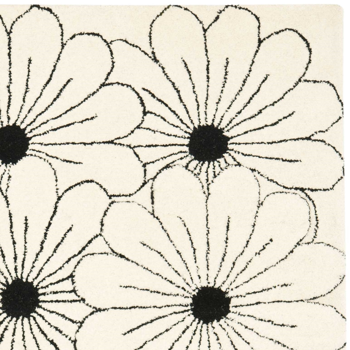 IVORY / BLACK