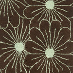 BROWN / TEAL