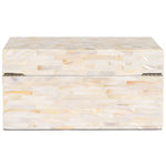 Safavieh Sabryna (Set of 2) Boxes, STG1810 - Champagne Mother Of Pearl