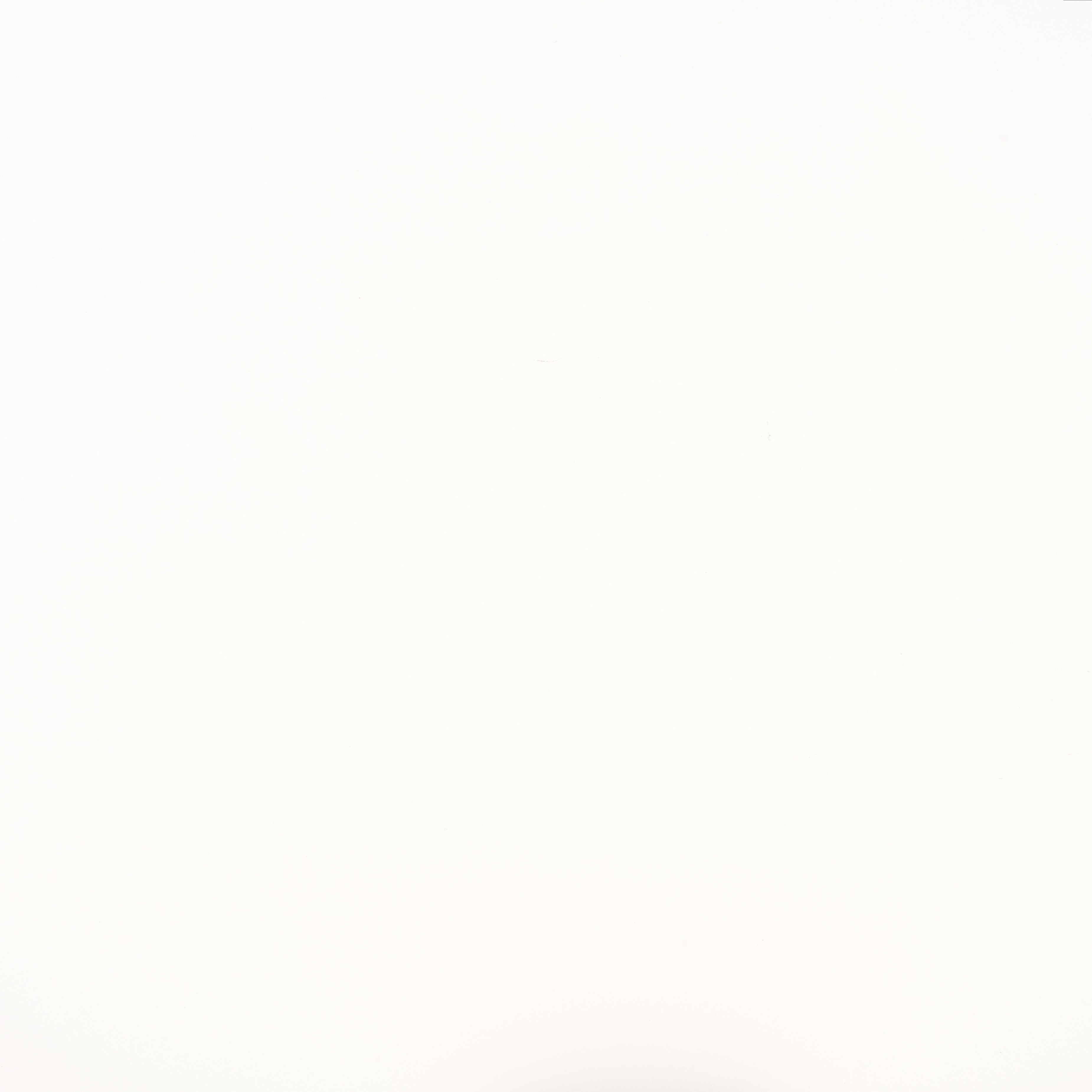Safavieh Leanna Laundry Basket, STG1900 - White / Beige