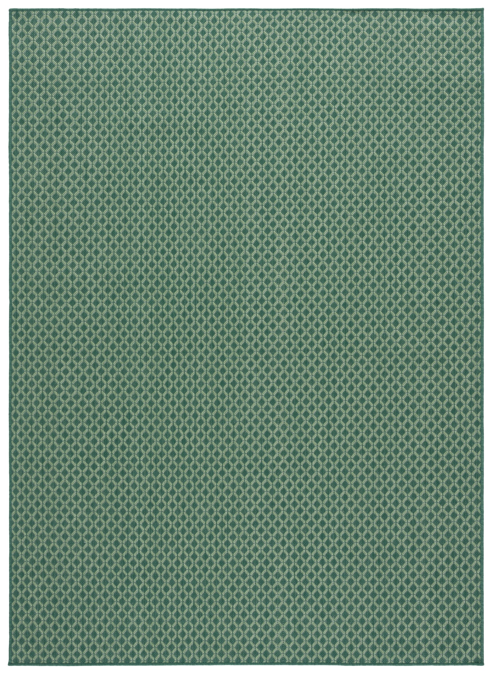 TERRACE 804 DARK GREEN / LIGHT GREEN