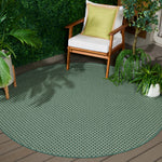 TERRACE 804 DARK GREEN / LIGHT GREEN