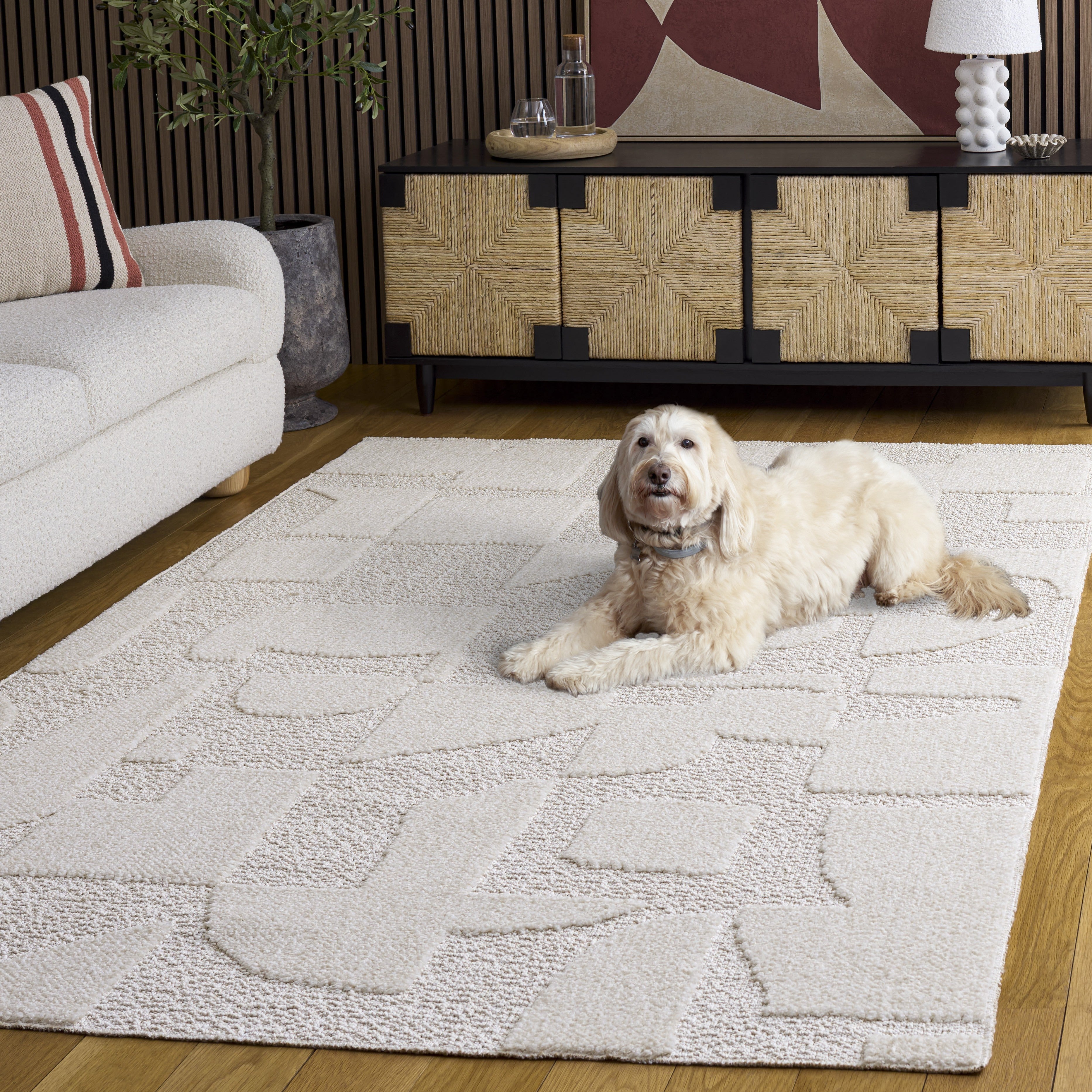 TRENDS 504 – IVORY / WHITE