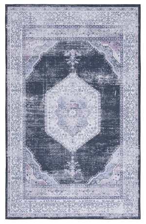 Safavieh Tucson 142 Rug, TSN142