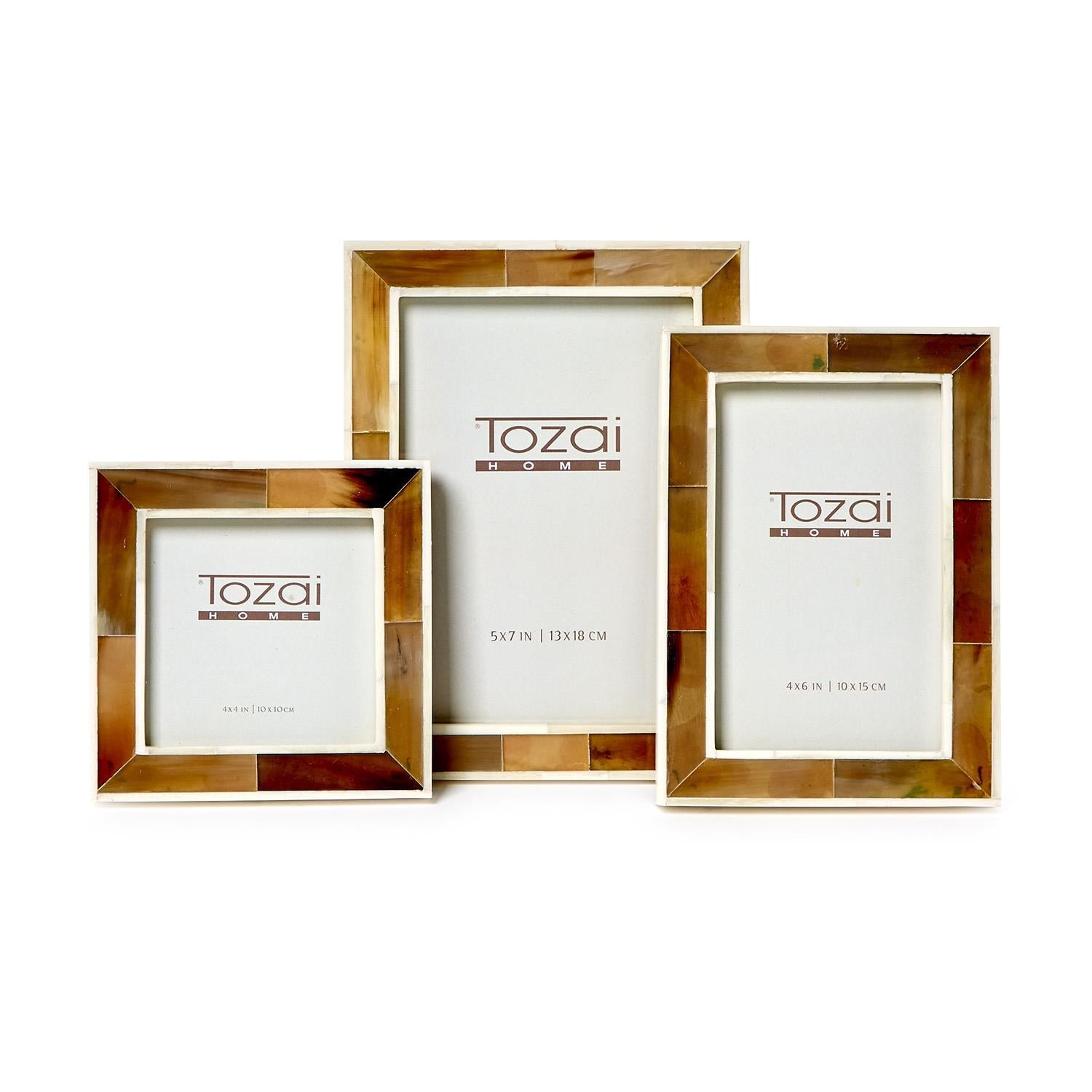 Two's Company S3 Faux Horn Photo Frame