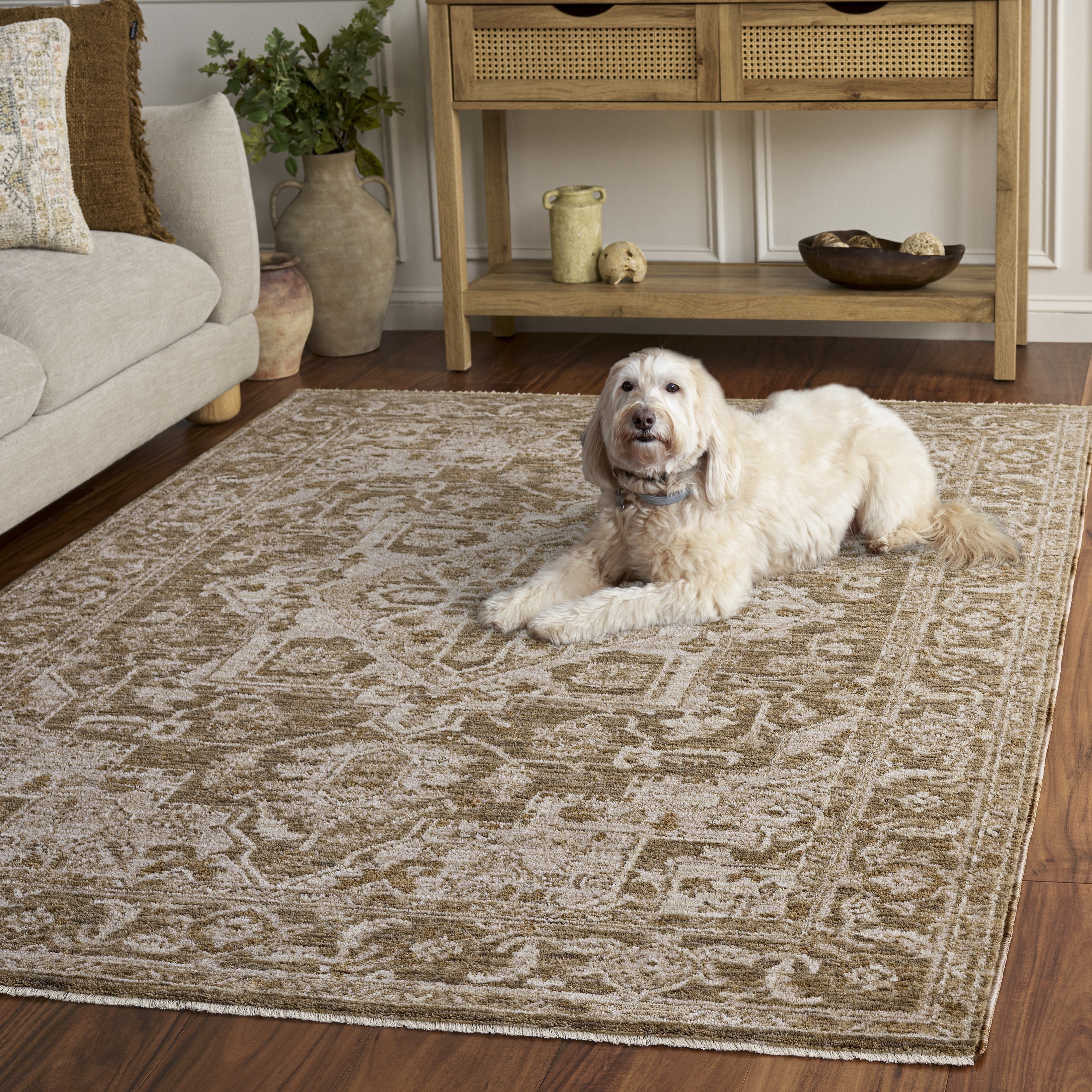 WHITNEY 722 – BROWN